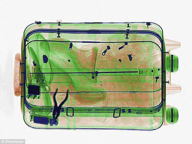 Can You Find the Forbidden Items in the Airport Luggage Xrays