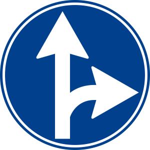 DISK DIAM 60 CM 597210240081.webp