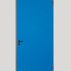 FIREDOOR PRO EI2 60 1100X2050 DX RAL 7035.webp