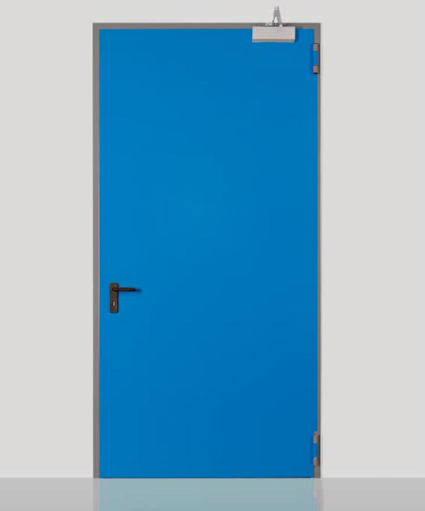 FIREDOOR PRO EI2 60 1100X2050 DX RAL 7035.webp
