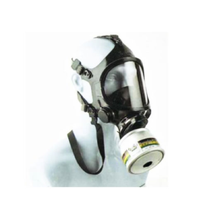 Full Face Mask.webp