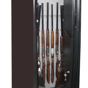 gun safe.webp